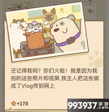 动物餐厅海德薇摄像小狗的来信