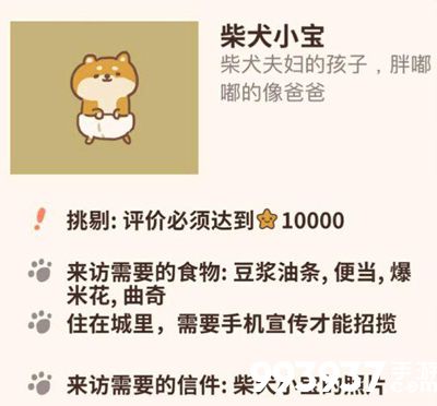 动物餐厅柴犬小宝的照片2