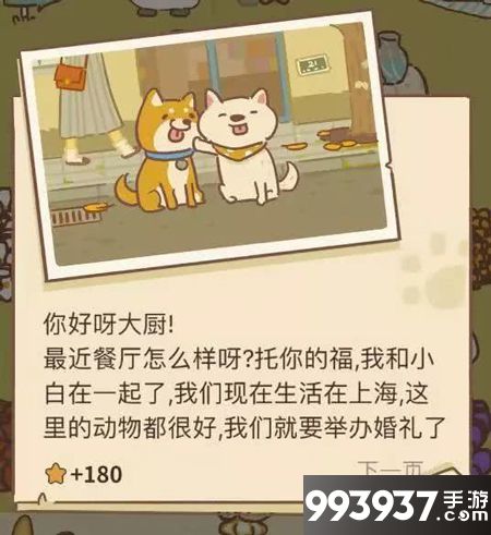 动物餐厅海德薇柴犬的来信