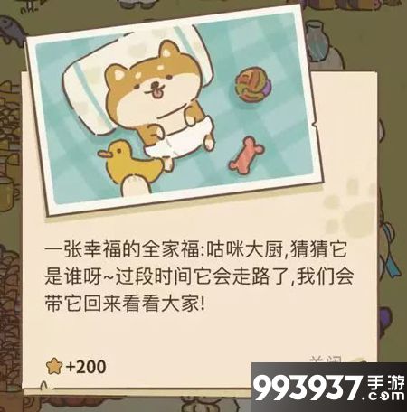 动物餐厅海德薇柴犬小宝