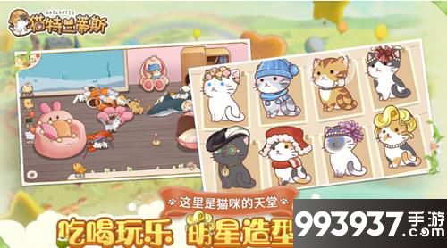 猫特兰蒂斯图片