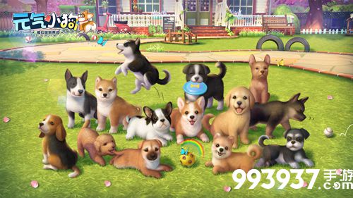 元气小狗怎么快速升级