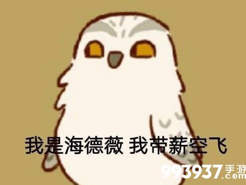 动物餐厅海德薇涨价许可证