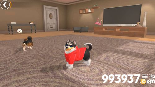 元气小狗新手攻略