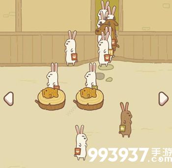 动物餐厅白兔来访条件