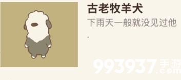 动物餐厅古老牧羊犬为什么不来