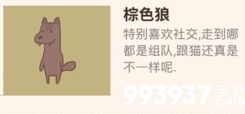 动物餐厅棕色狼解锁