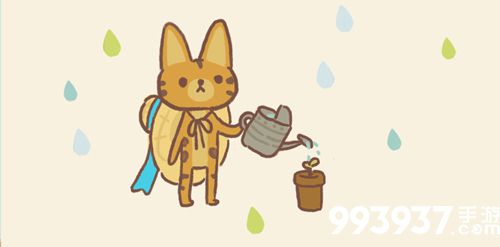 动物餐厅巧克力拉布拉多来访条件