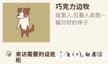 动物餐厅巧克力边牧来访条件