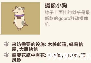 动物餐厅摄像小狗为什么不来