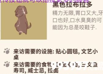 动物餐厅黑色拉布拉多解锁需要啥
