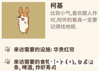 动物餐厅柯基需要什么设施