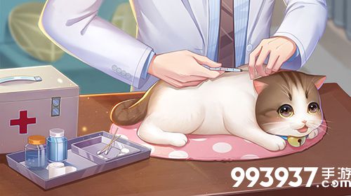 喵与筑怎么和小猫互动