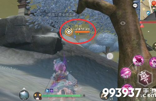 风云岛行动追踪