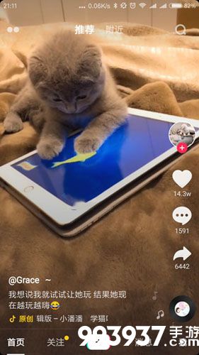 抖音上给猫玩的游戏是什么