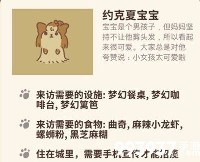 动物餐厅约克夏宝宝