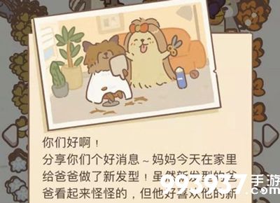 动物餐厅约克夏宝宝信件