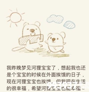 动物餐厅鸡蛋日记7