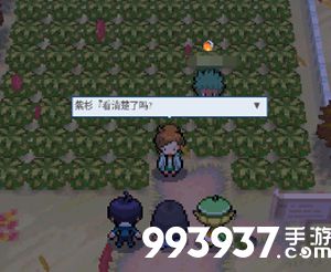 pokemmo