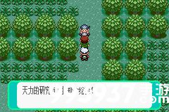 pokemmo