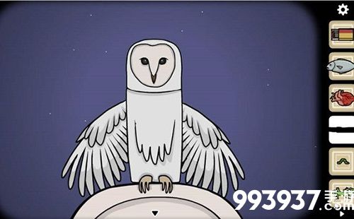 samsara room猫头鹰图片