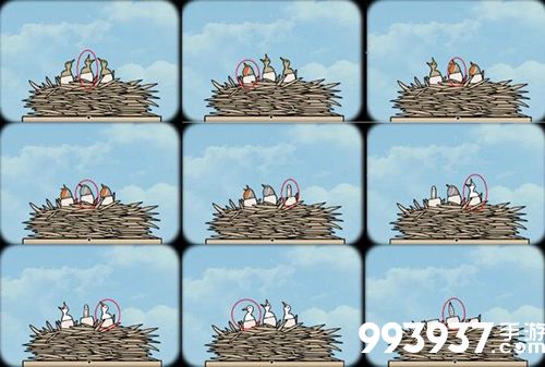 samsara room第五关图片4