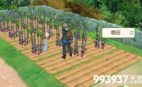 小森生活猫碗图片2