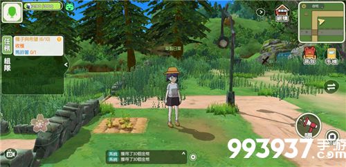 小森生活露桑松树图片3