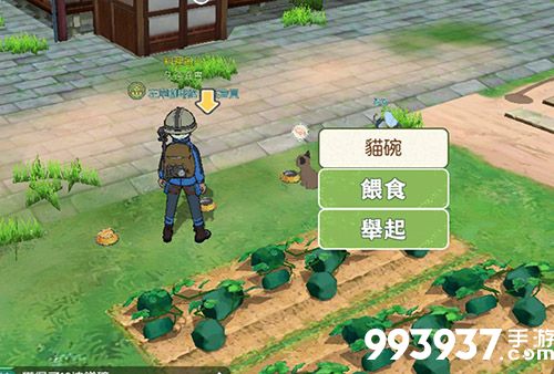 小森生活猫碗图片3