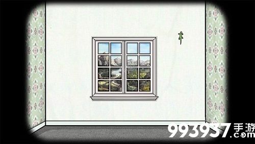 samsara room花瓣图片