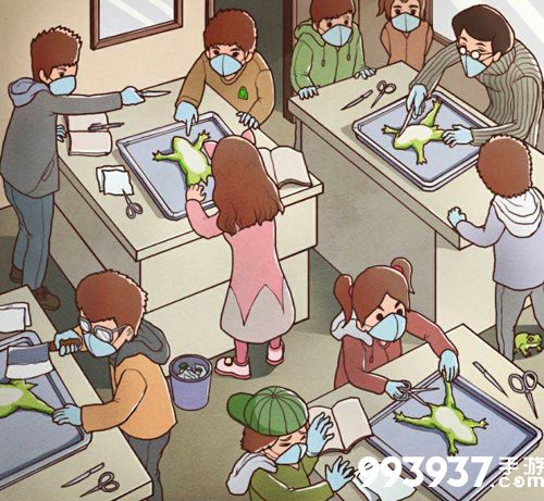 班主任模拟器第126关