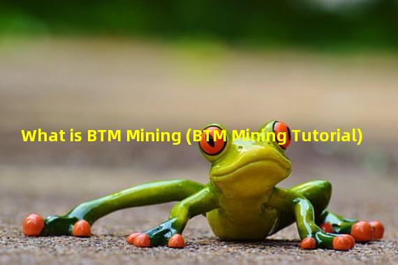 What is BTM Mining (BTM Mining Tutorial)