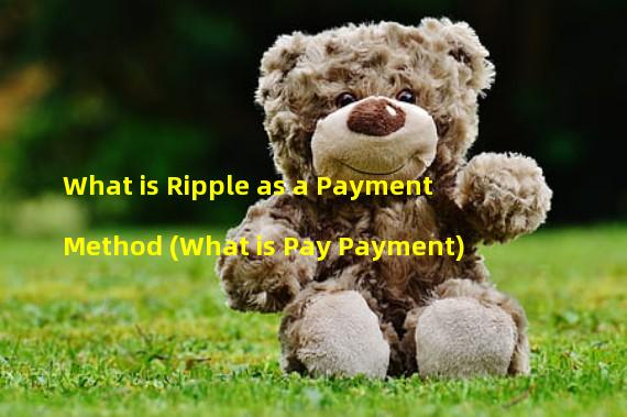 What is Ripple as a Payment Method (What is Pay Payment)