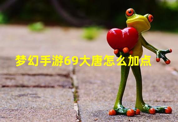 梦幻手游69大唐怎么加点