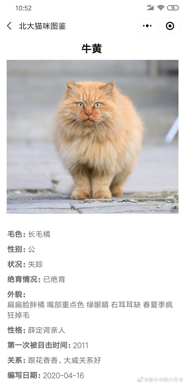 北大猫咪图鉴截图 (1)