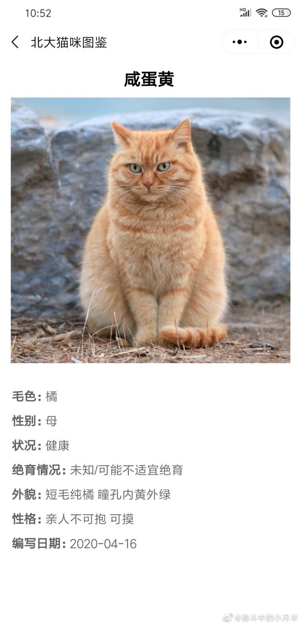 北大猫咪图鉴截图 (2)