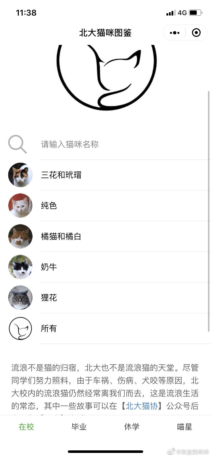 北大猫咪图鉴截图 (3)