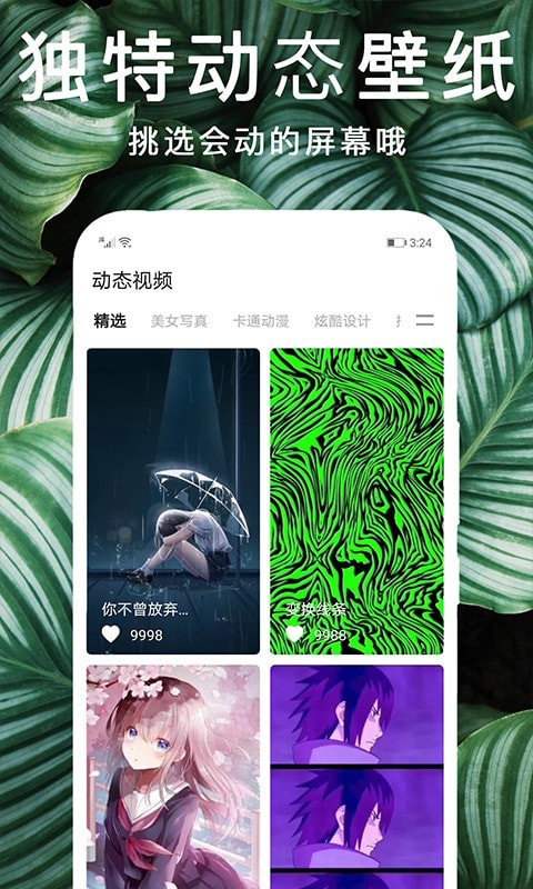 灵猫主题壁纸截图 (2)