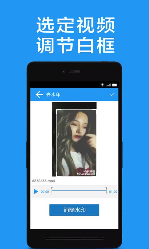 视频去水印截图 (2)