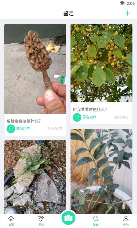 掌上植物网截图 (2)