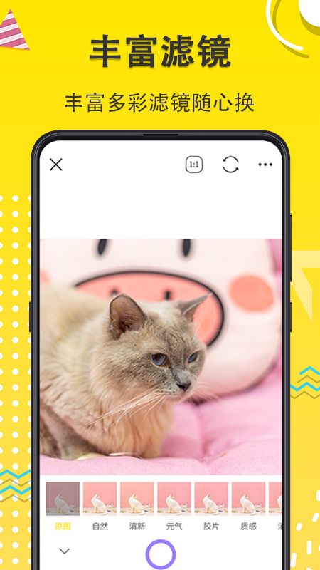 宠物动漫相机截图 (3)