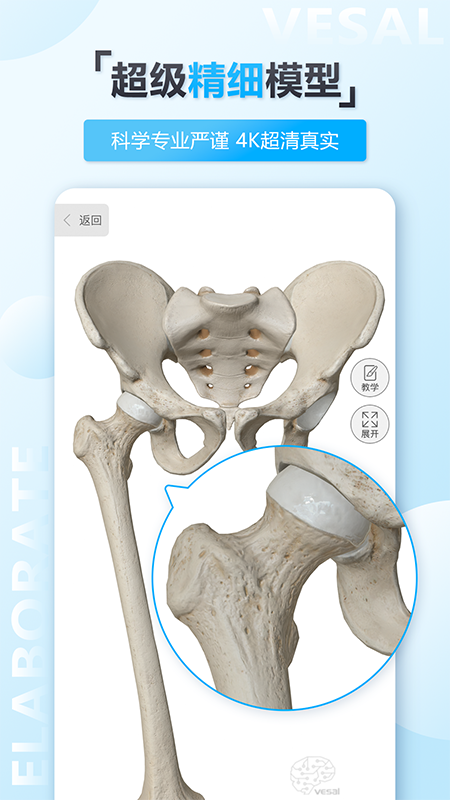 维萨里3D解剖截图 (1)