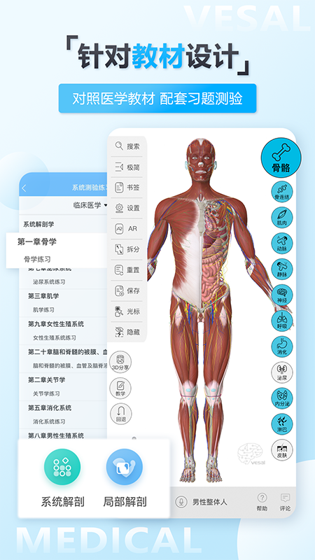 维萨里3D解剖截图 (4)