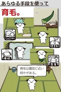 毛发育成截图 (1)